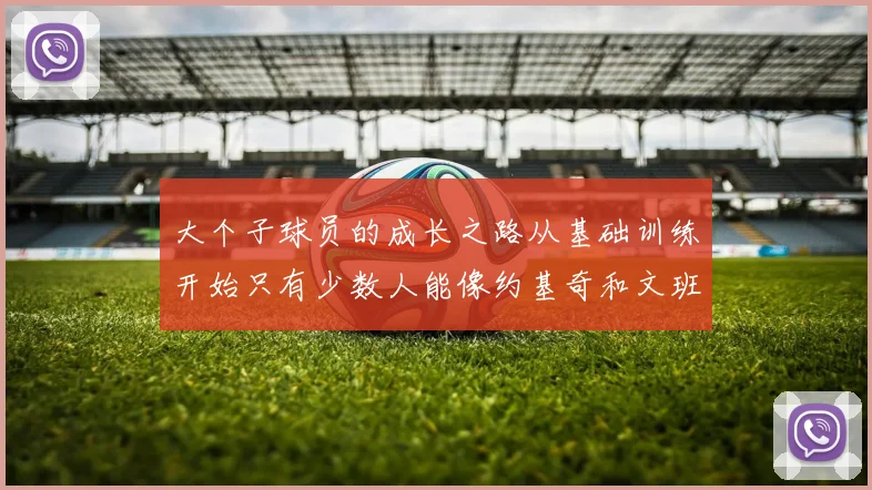 大个子球员的成长之路从基础训练开始只有少数人能像约基奇和文班那样成功