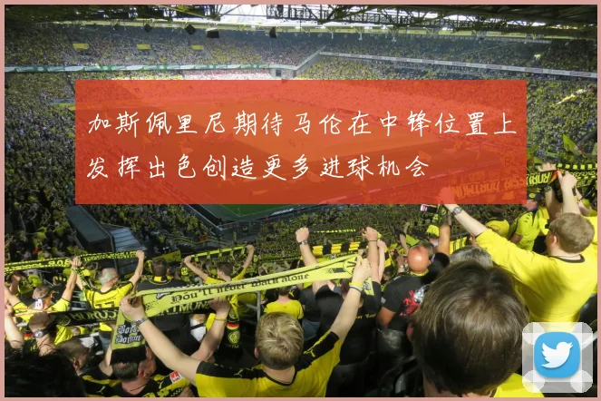 加斯佩里尼期待马伦在中锋位置上发挥出色创造更多进球机会
